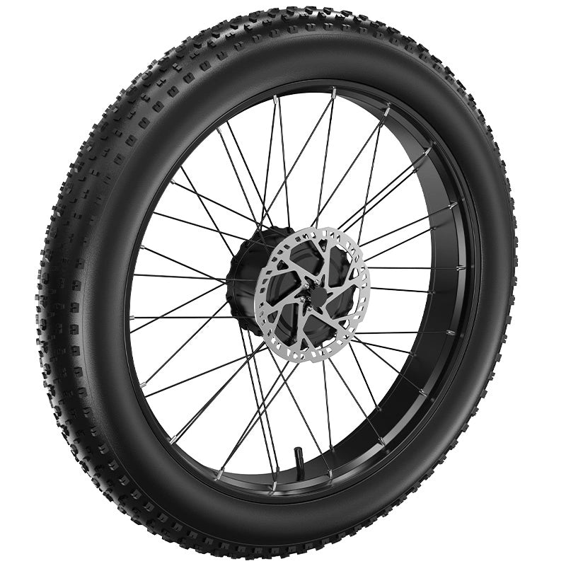 FENGQS H6 PRO Electric Bicycle Motor with Tire