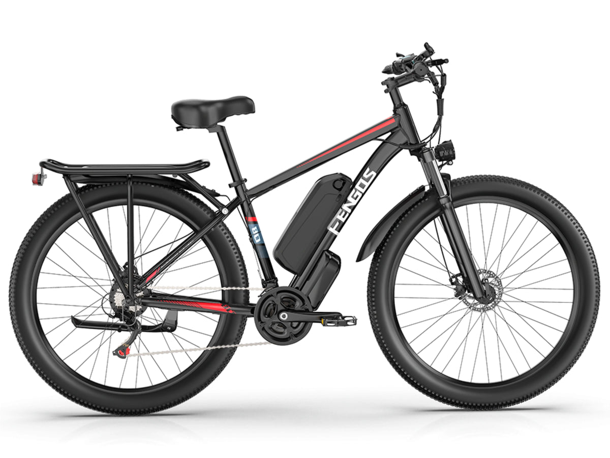FENGQS Q8 Mountain Electric bike