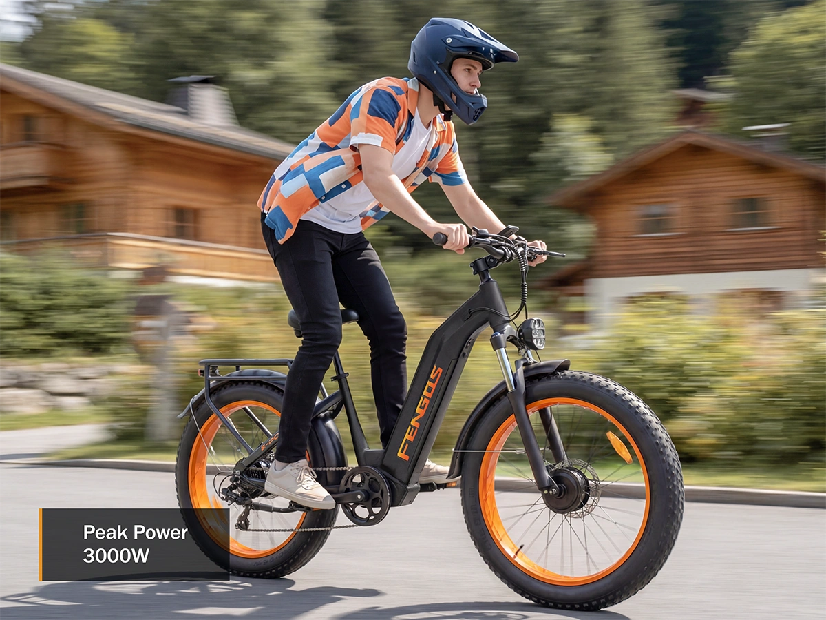 FENGQS H2 PRO Dual-Motor Off-Road Electric Bike