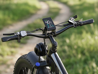 FENGQS Q8 Plus 26" Adult Fat Tyre Off-Road E-Bike