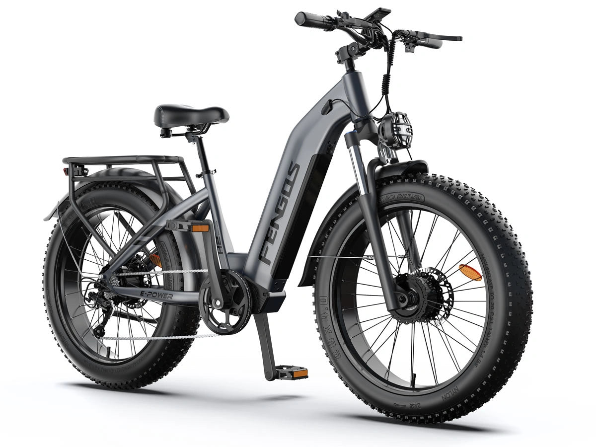 FENGQS H2 PRO Dual-Motor Off-Road Electric Bike