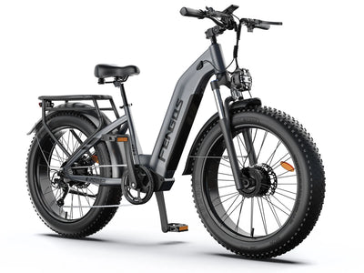 FENGQS H2 PRO Dual-Motor Off-Road Electric Bike