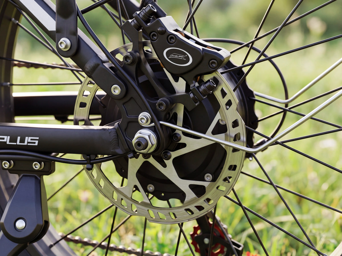 FENGQS Q8 Plus 24" Adult Off-Road Electric Bike