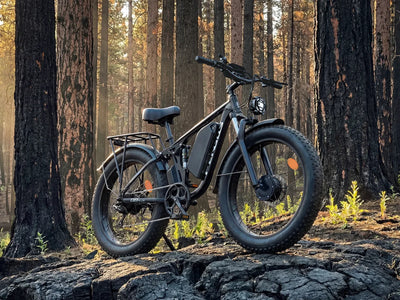 FENGQS Q8 Plus 26" Adult Fat Tyre Off-Road E-Bike