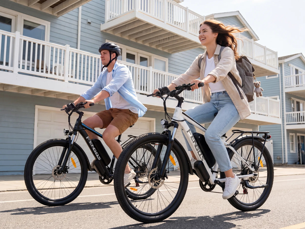 FENGQS Q8 Mountain Electric bike