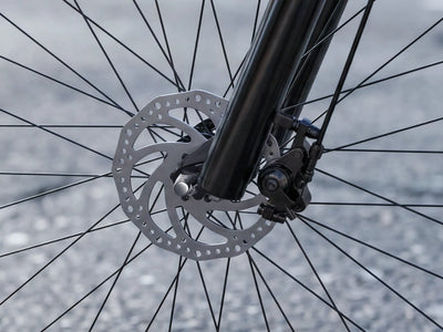 FENGQS Q8 Mountain Electric bike