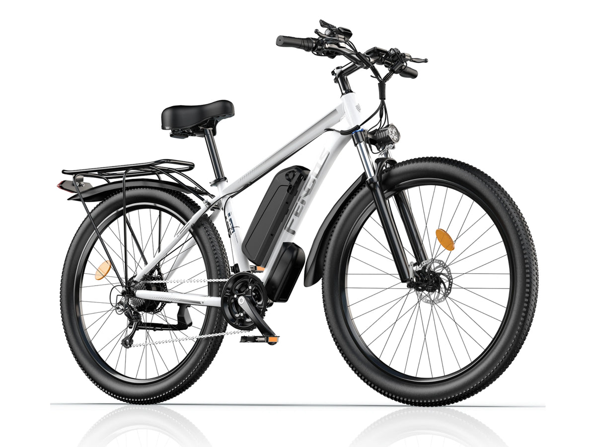 FENGQS Q8 Mountain Electric bike
