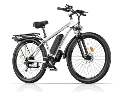 FENGQS Q8 Mountain Electric bike
